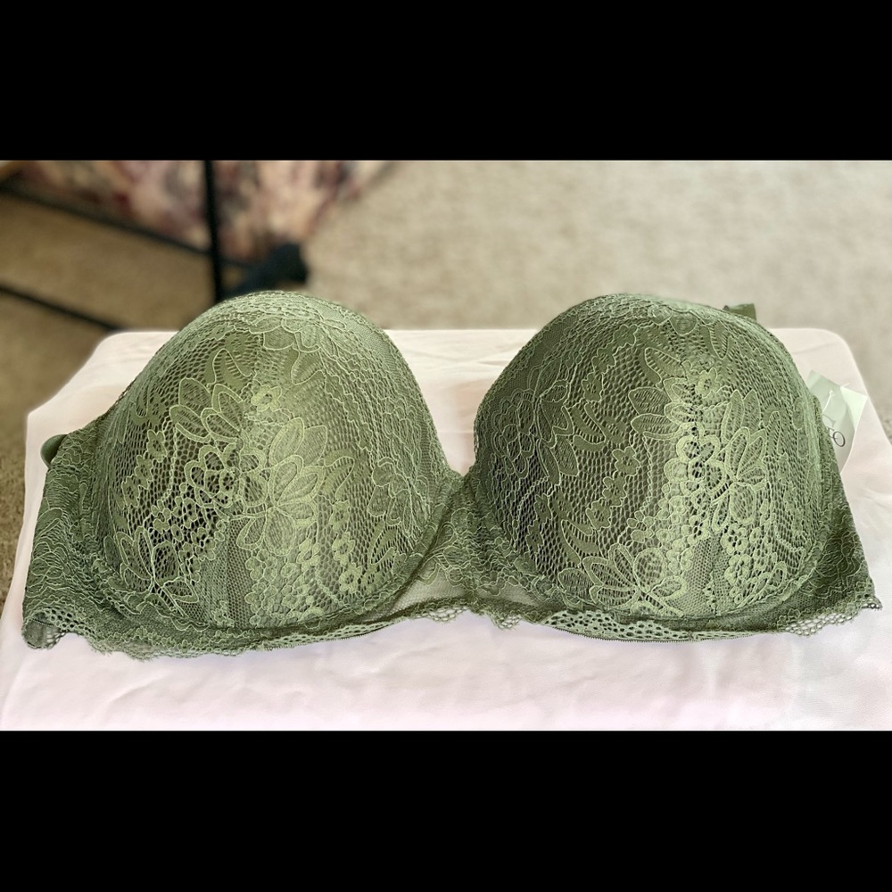 Women’s Plus Size Lace Bra 44DD